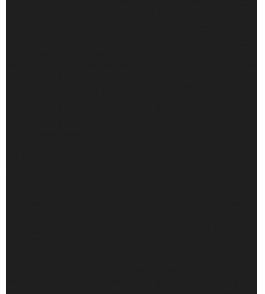 1000052665